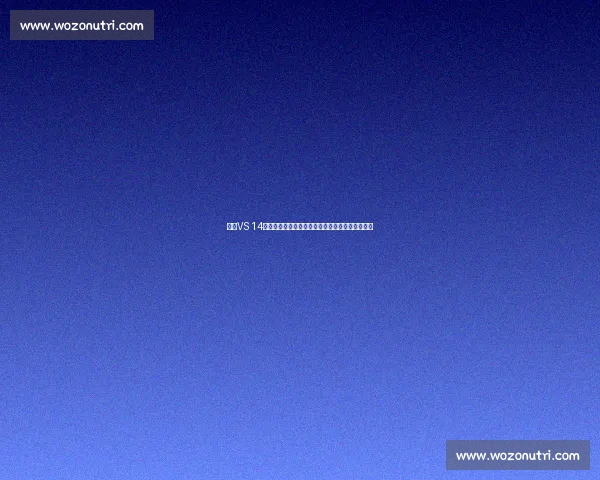 基于VS 14开发环境的高效编程技巧与常见问题解决方案分析